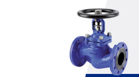 Globe Valves