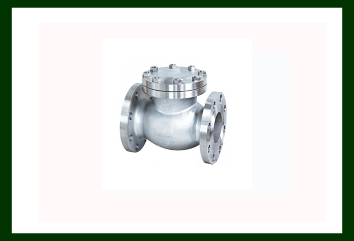 Audco Check Valve