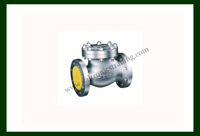 KSB Check Valve