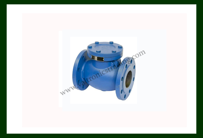 Check Valve