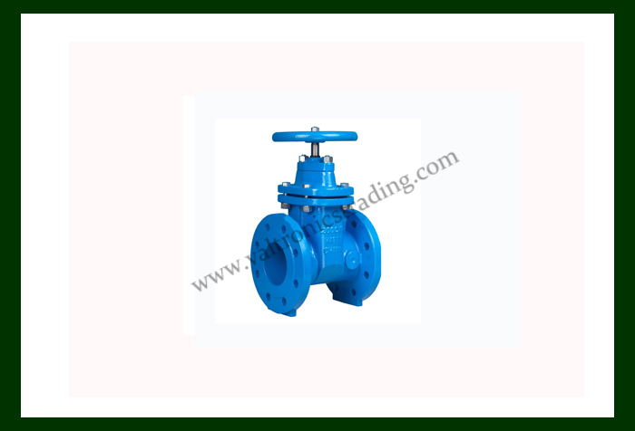 Sluice Valve