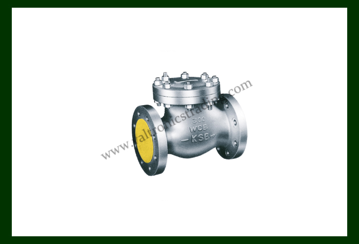 L&T Pressure Seal Check Valve