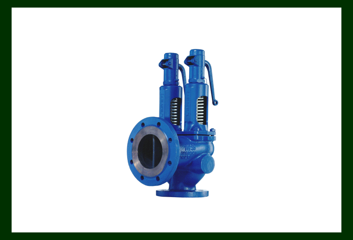 SAFETY RELIEF VALVE