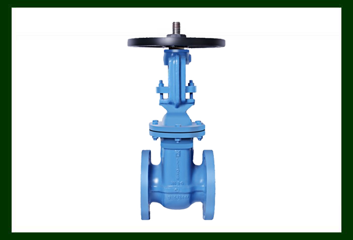 Leader Valves